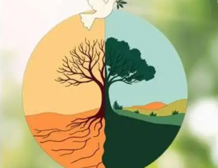 Paz con la Creación
