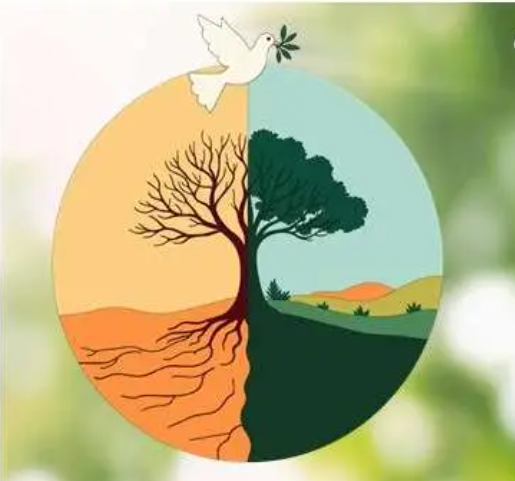 Paz con la Creación