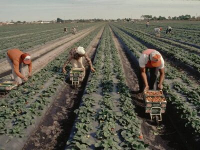 regu 27 enero onda cero