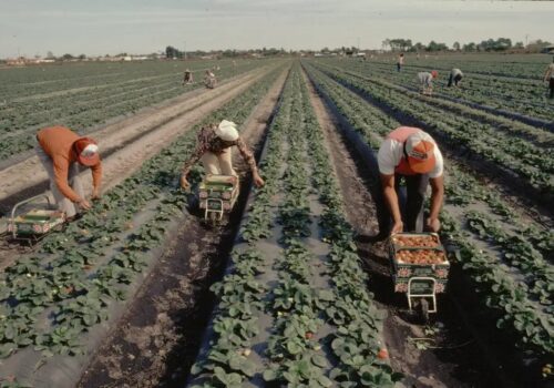 regu 27 enero onda cero
